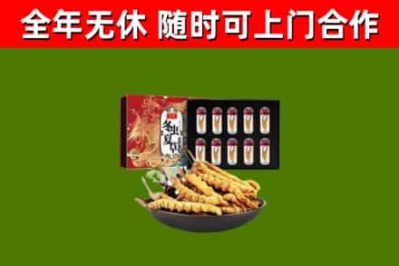 桐柏回收冬虫夏草价格